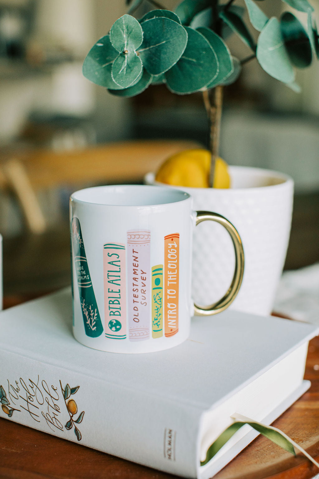 Theology Book Mug – The Bible Study Schoolhouse, image size:1024x1536